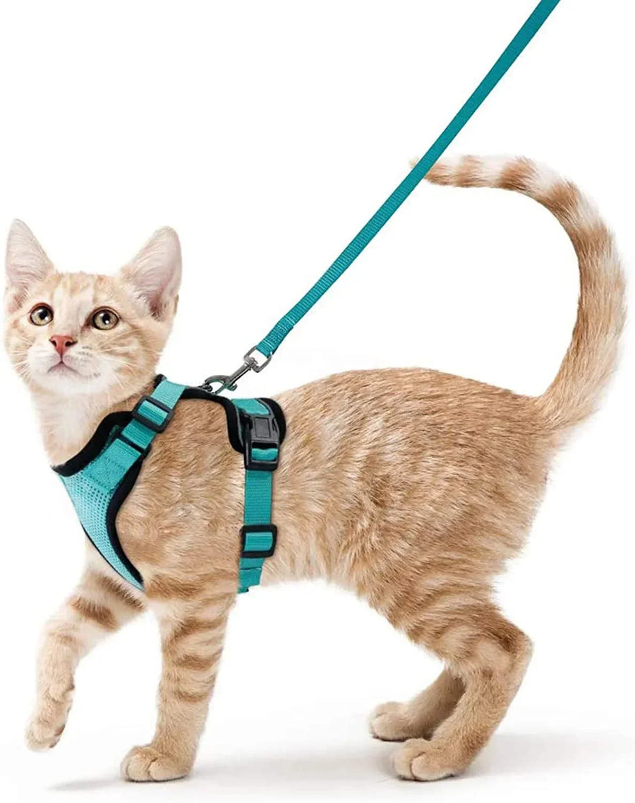 Adjustable Soft Cat Vest