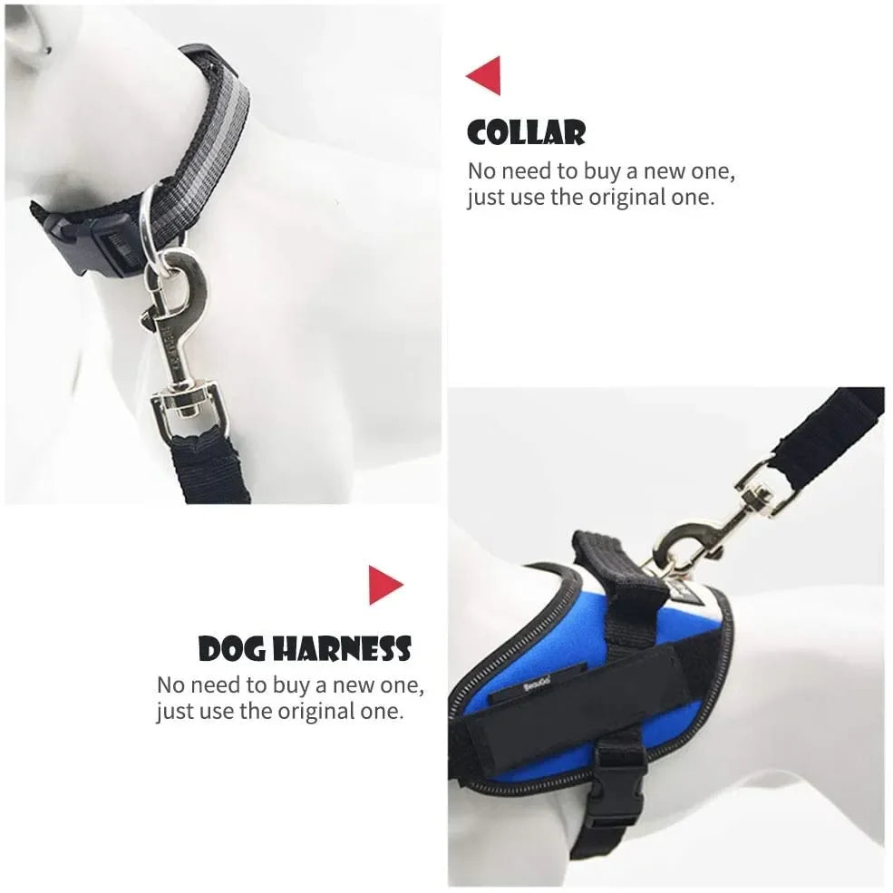 Adjustable dog leash for car safety