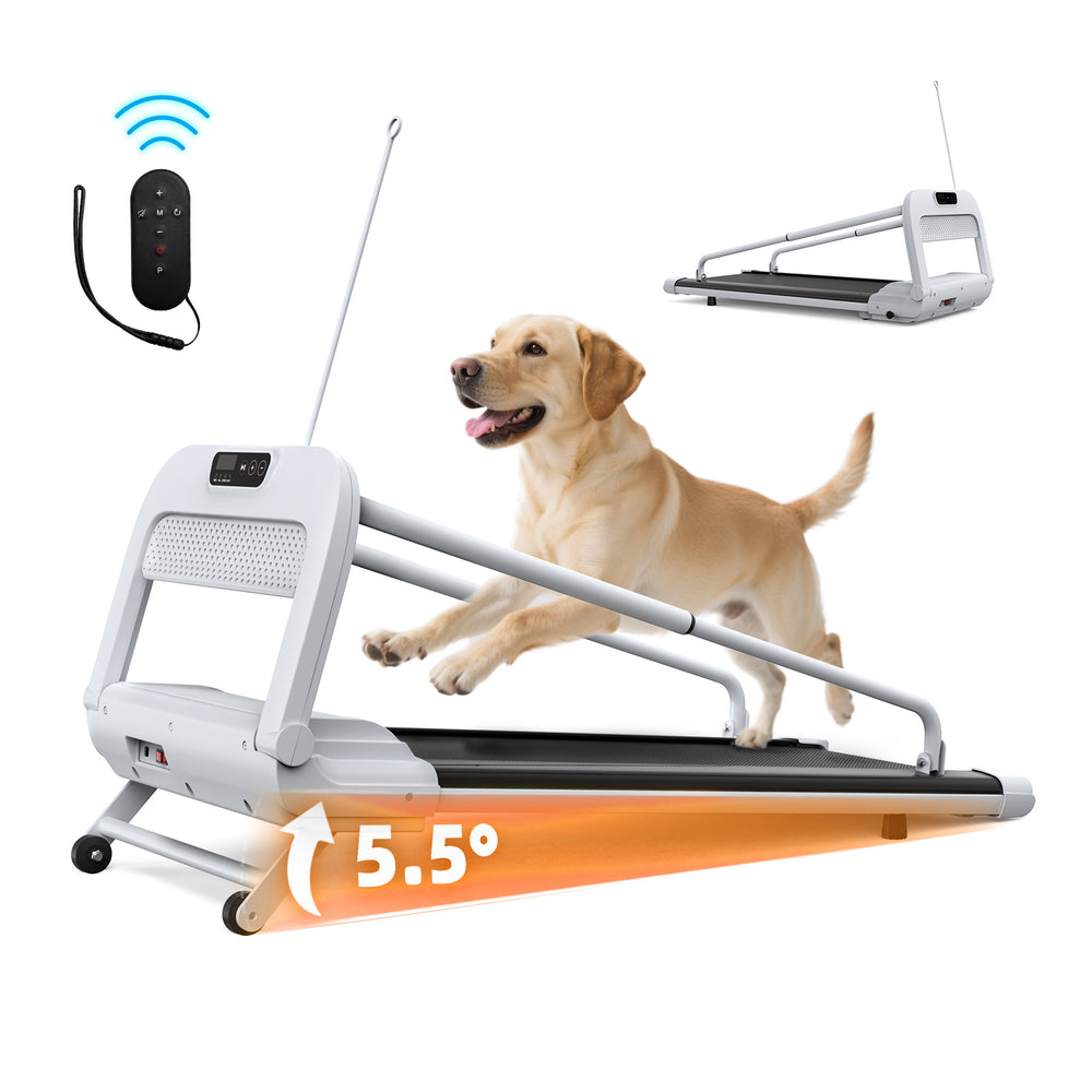 Adjustable speed dog treadmill for indoor exercise