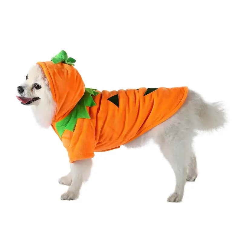 Adorable pumpkin hoodie for dogs