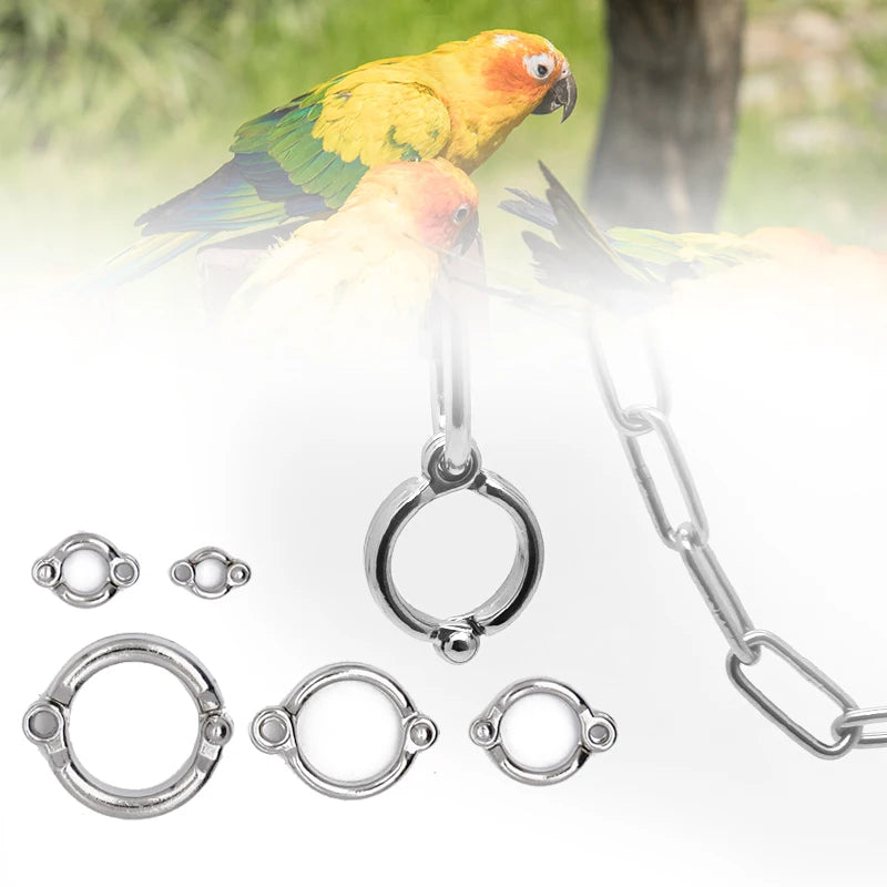 Anti-Bite Bird Ankle Chain