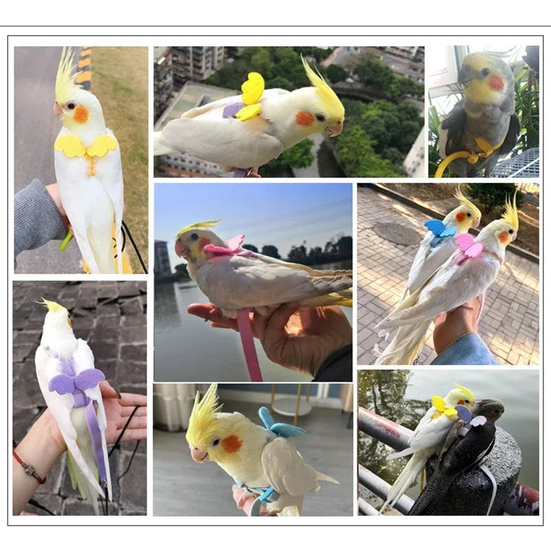 Anti-Bite Bird Vest Leash