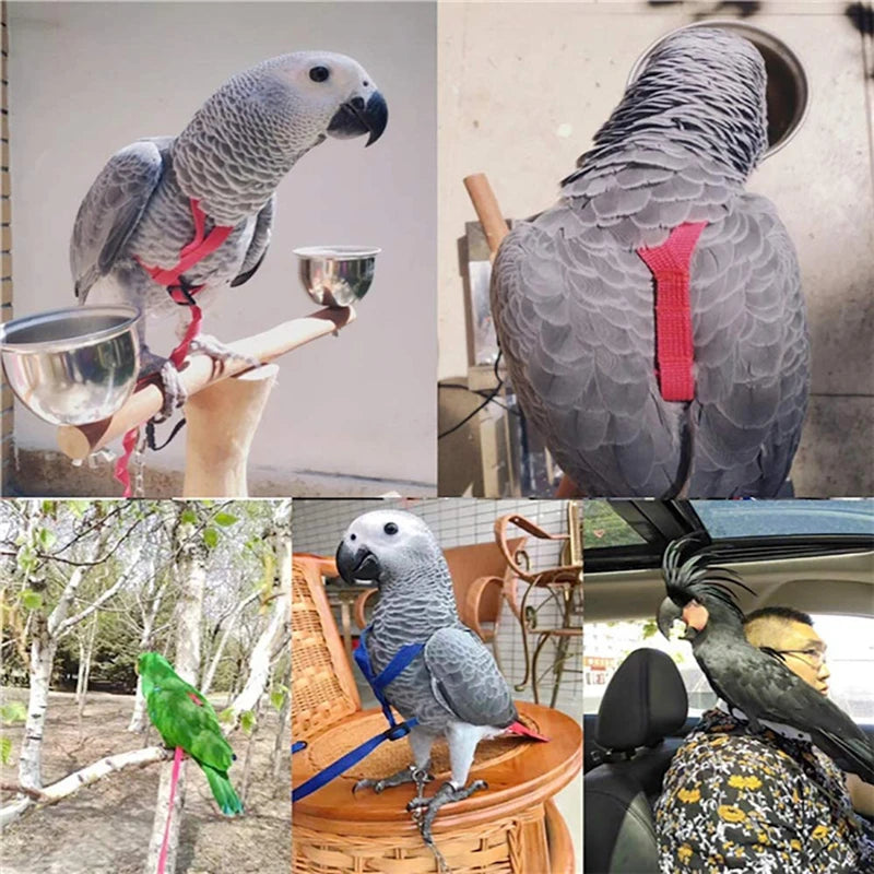 Anti-Bite Parrot Flying Rope