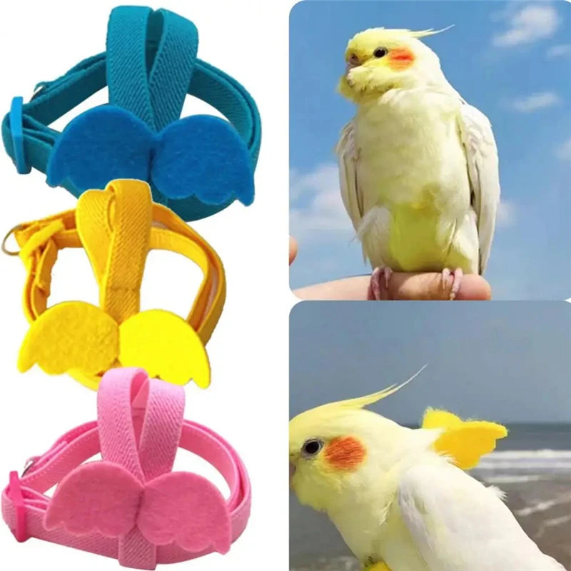 Anti-Bite Training Harness Parrots