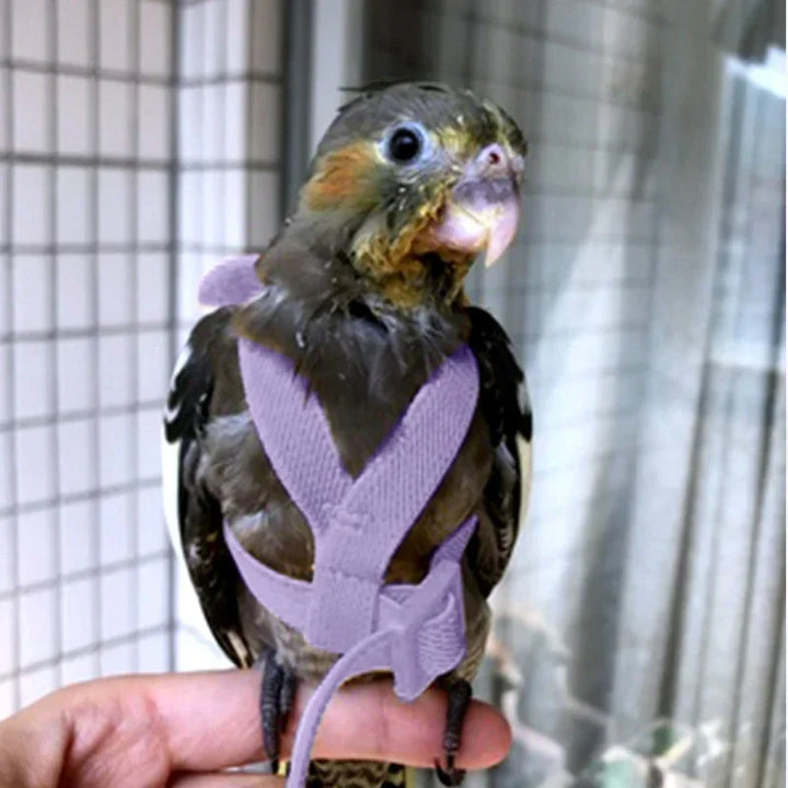 Anti-Escape Bird Harness Rope