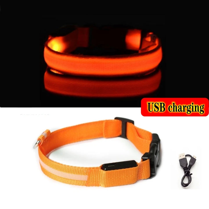 Anti-Lost Dog Collar with USB Light