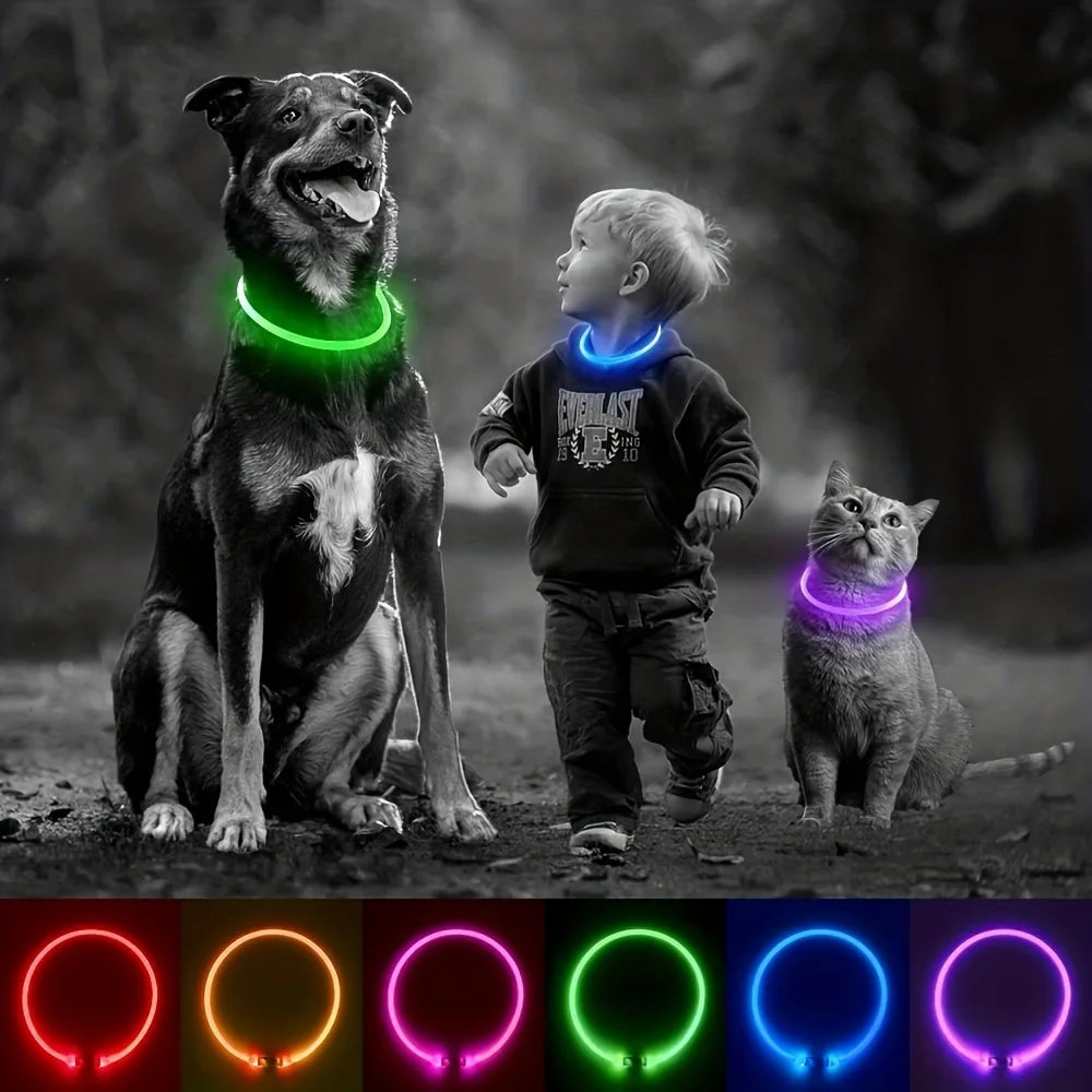 Anti-Lost Pet Collar with LED Lights