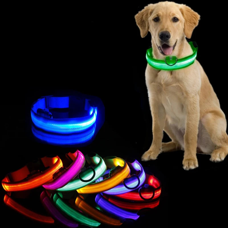 Anti-Lost Puppy Collar with LED Light