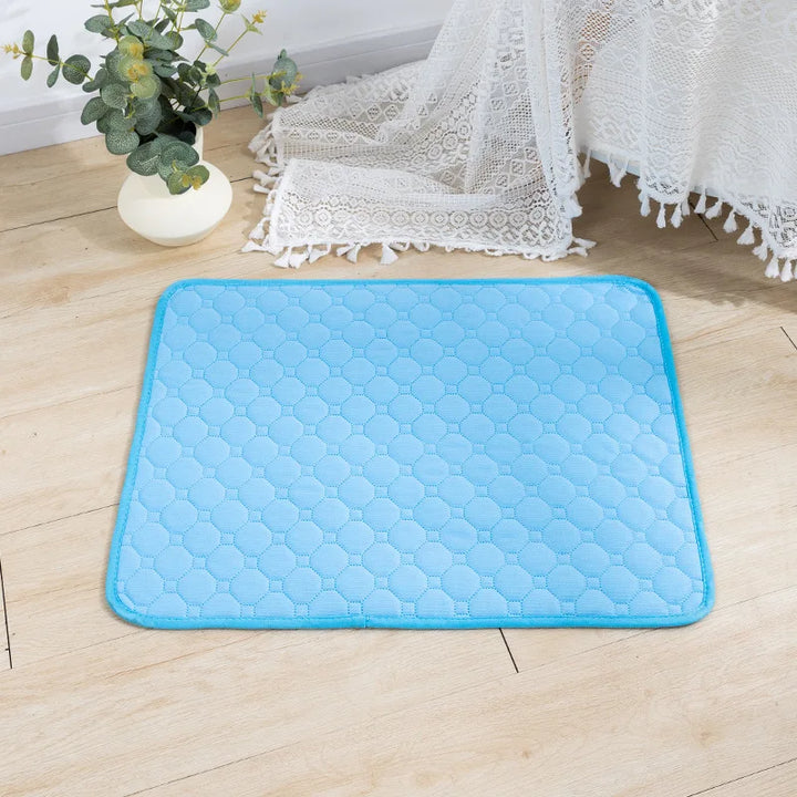 Anti-Slip Training Pee Mat