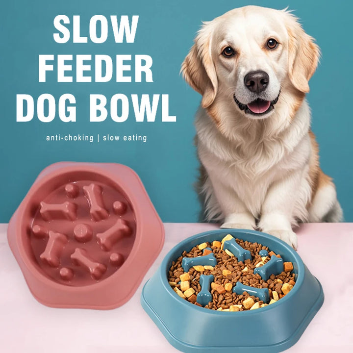 Anti-slip slow eating dish for dogs