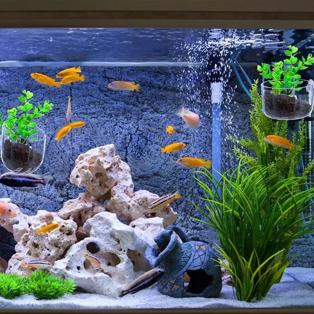 Aquarium Glass Pot for Plants