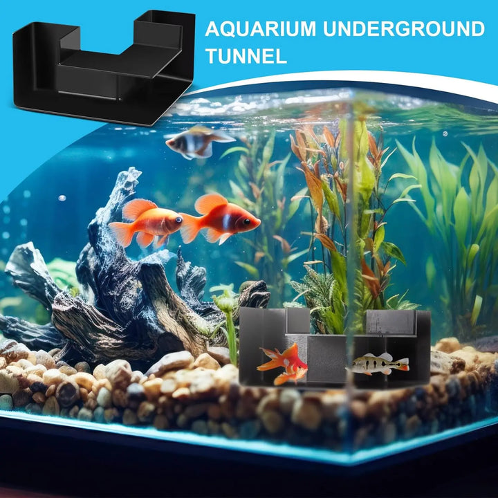 Aquarium Underground Tunnel 