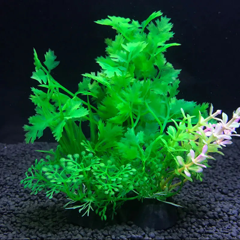 Aquarium decoration accessories