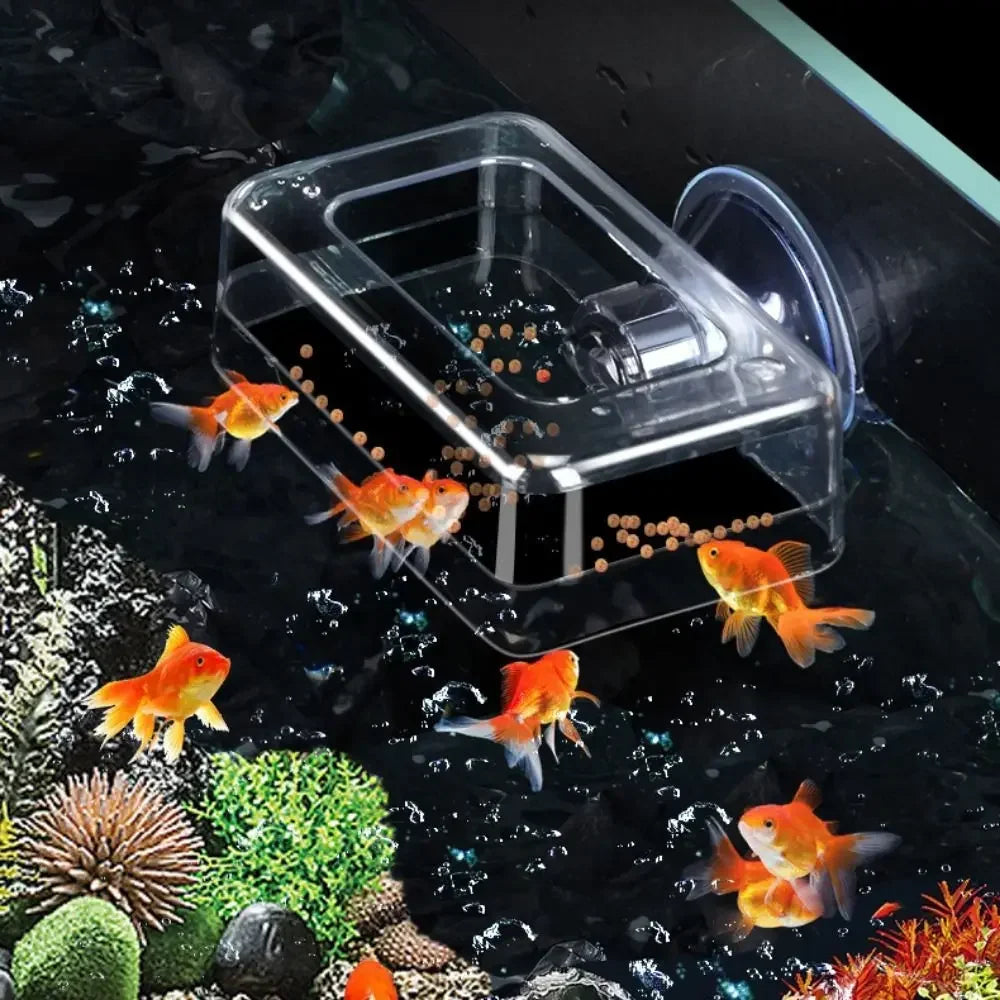 Aquarium feeding ring with precise design