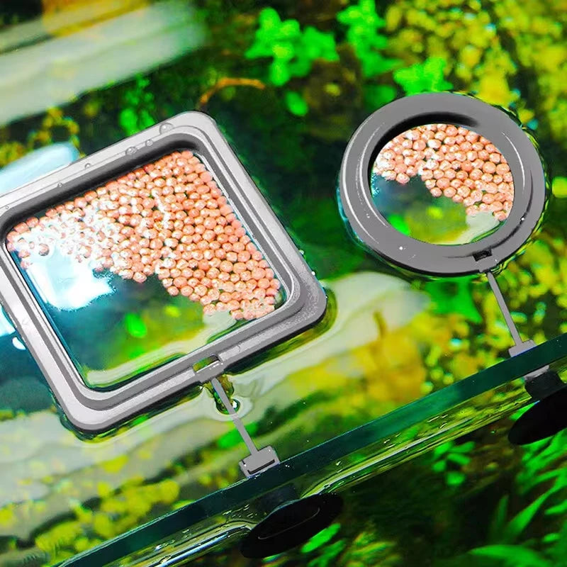 Aquarium feeding ring with suction cup