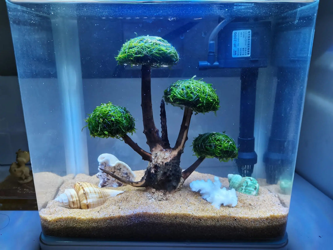 Aquarium moss tree trunk DIY
