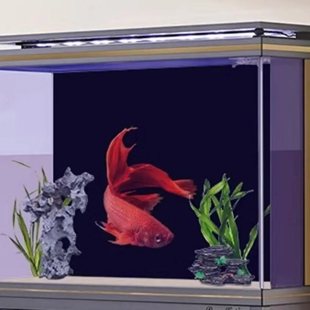 Aquarium poster backdrop decoration