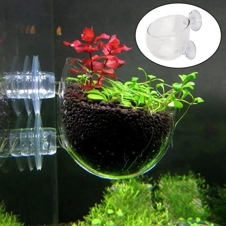 Aquarium tool for aquatic plants