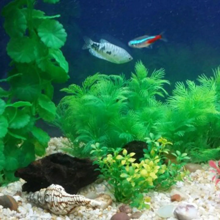 Artificial fish tank water grass.