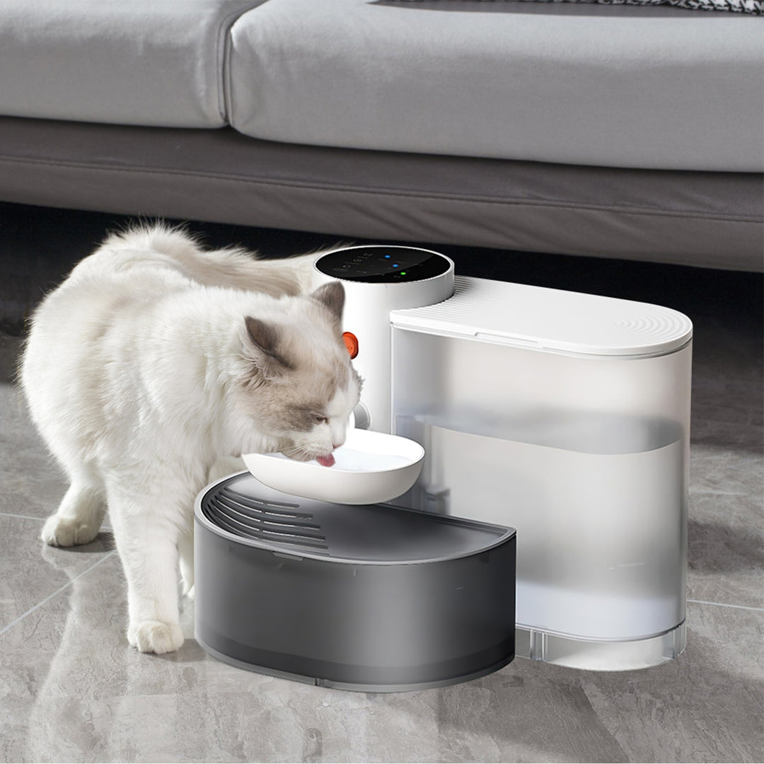 Automatic Cat Water Dispenser