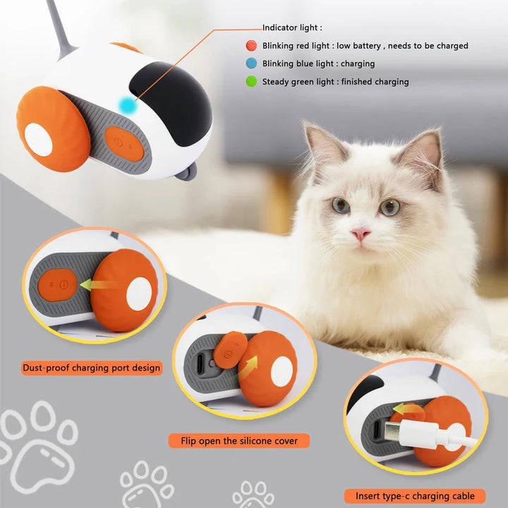 Automatic Cat and Dog Play Toy