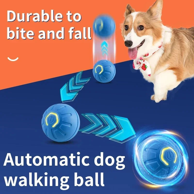 Automatic Dog Walking Ball