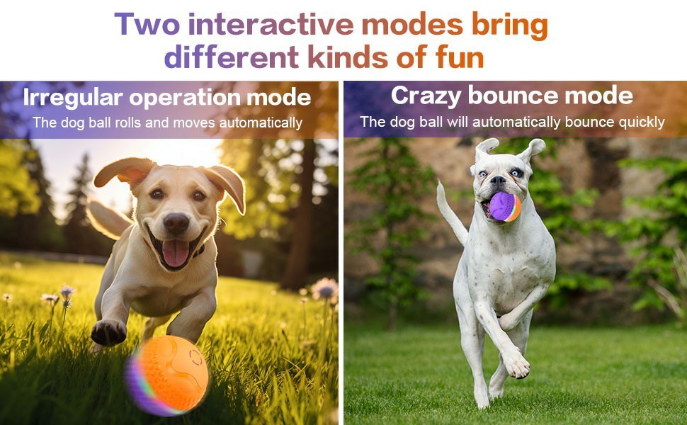Automatic Pet Ball For Dogs