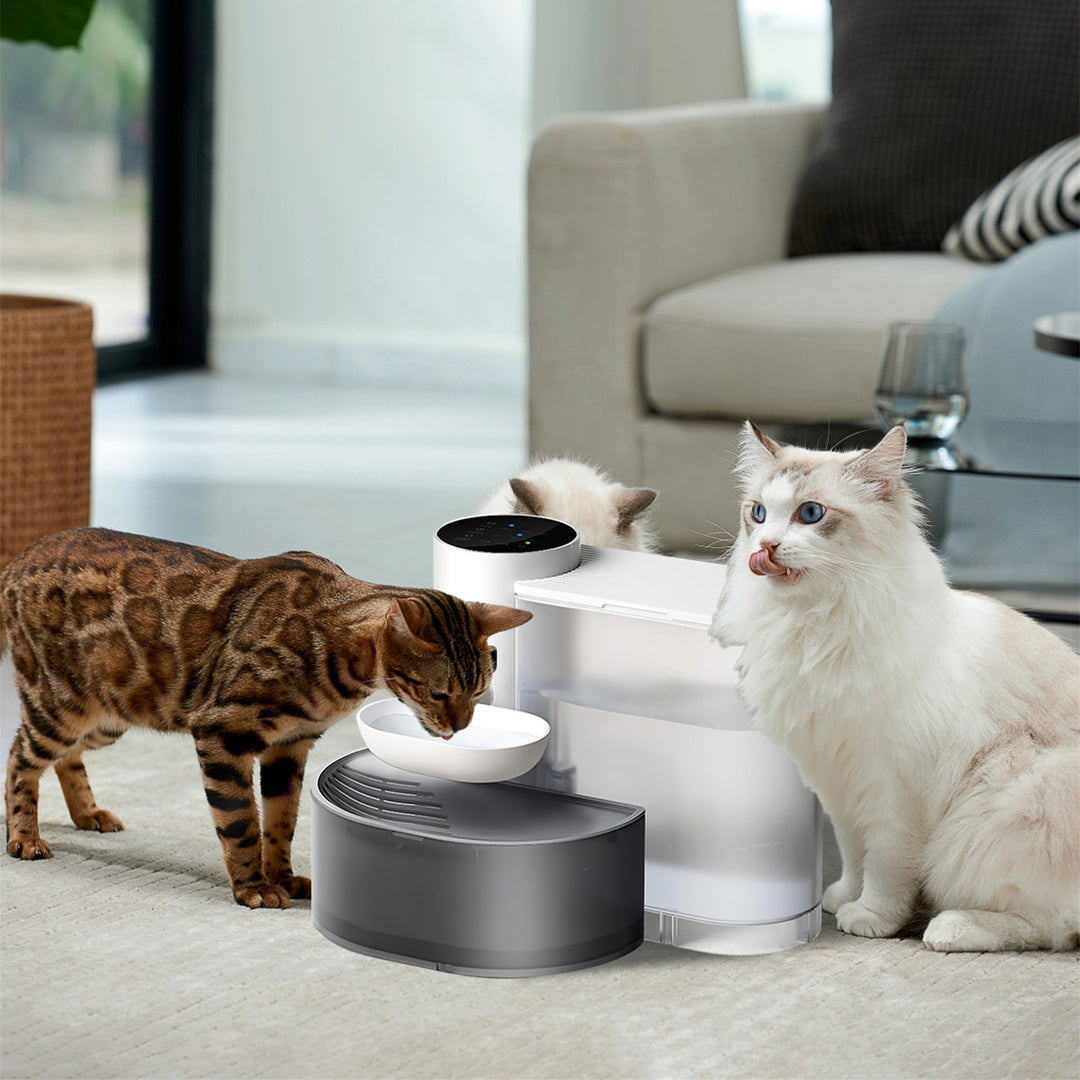 Automatic Pet Water Fountain