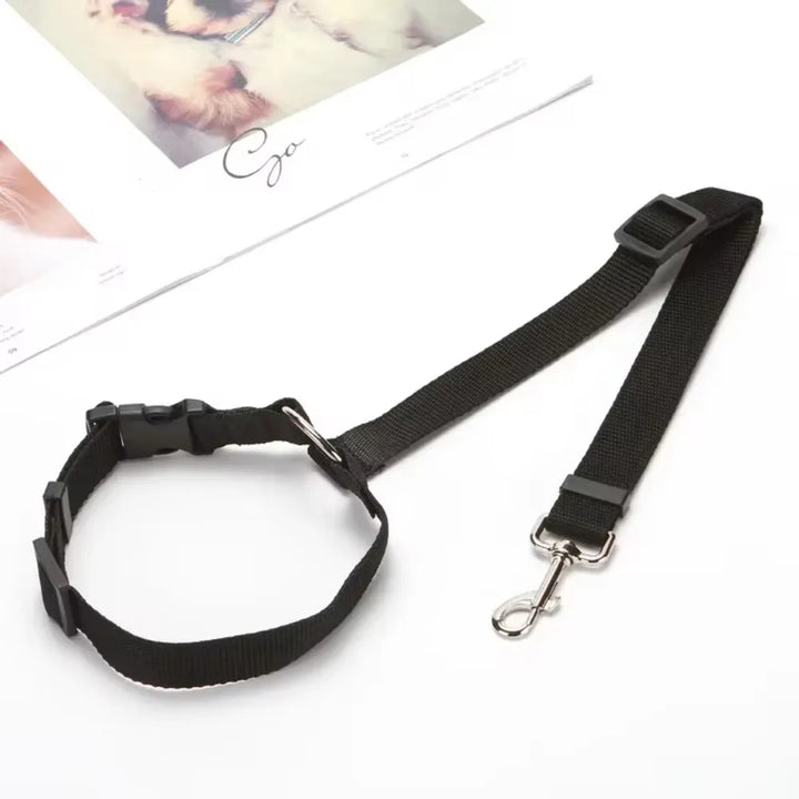 Backseat Safety Dog Leash