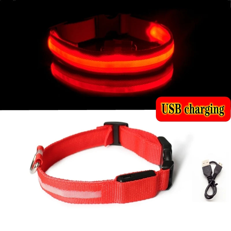 Battery Operated LED Collar for Dogs