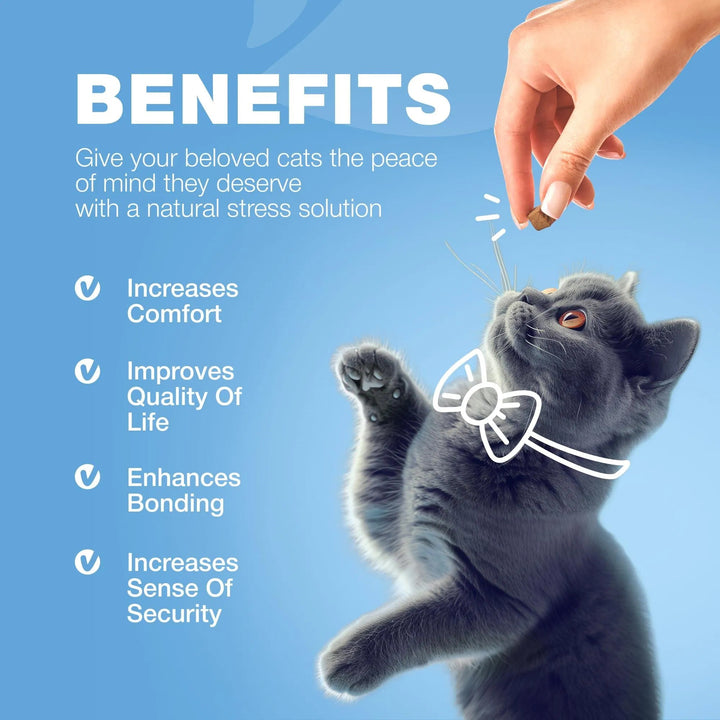 Benefits of Cat Calming Treats