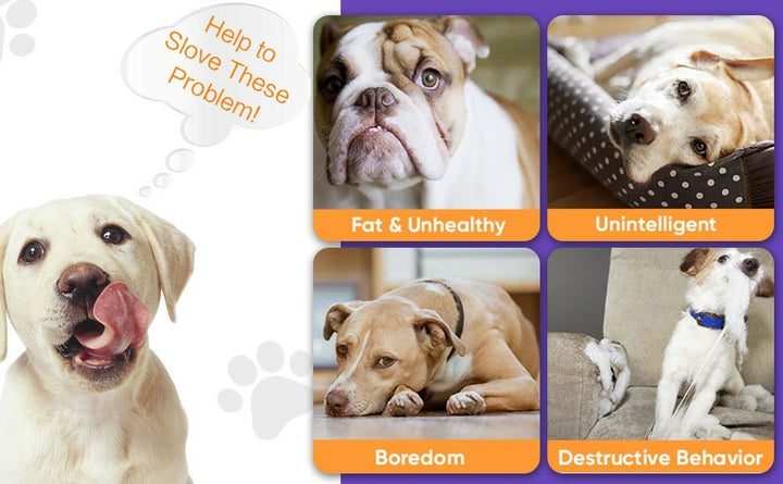 Benefits of Motion Activated Dog Toy Ball