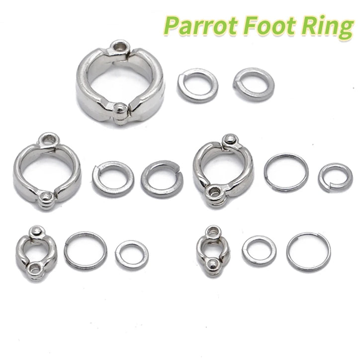 Bird Ankle Foot Chain Ring