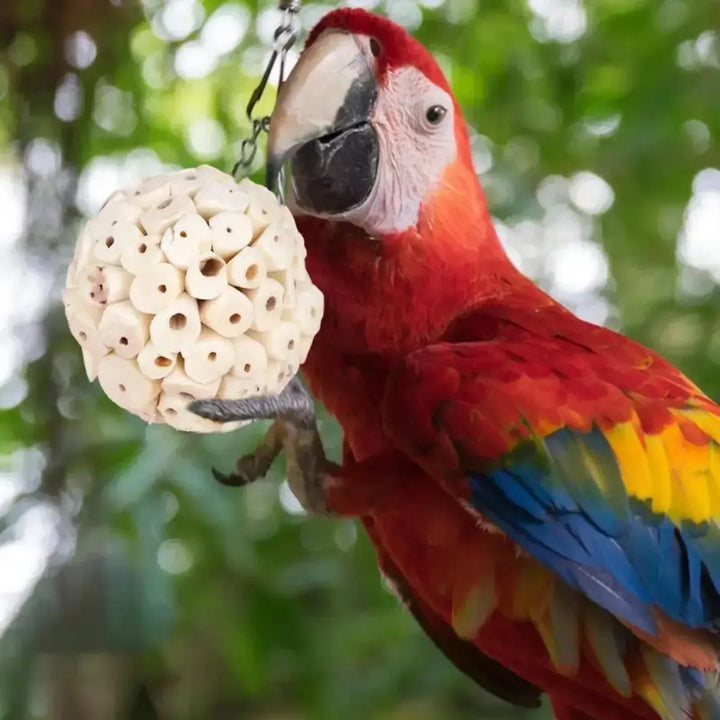 Bird Cage Foraging Toy