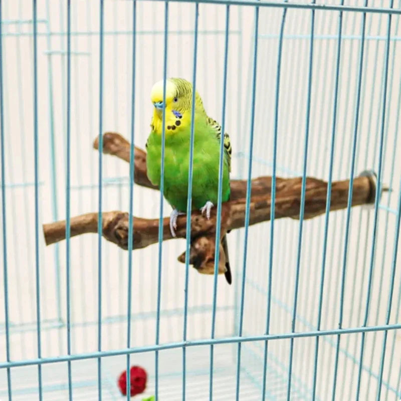 Bird Cage Perch for Claws