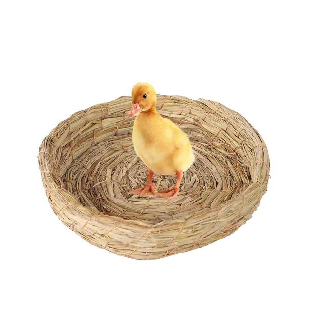 Bird Cage Straw Nest