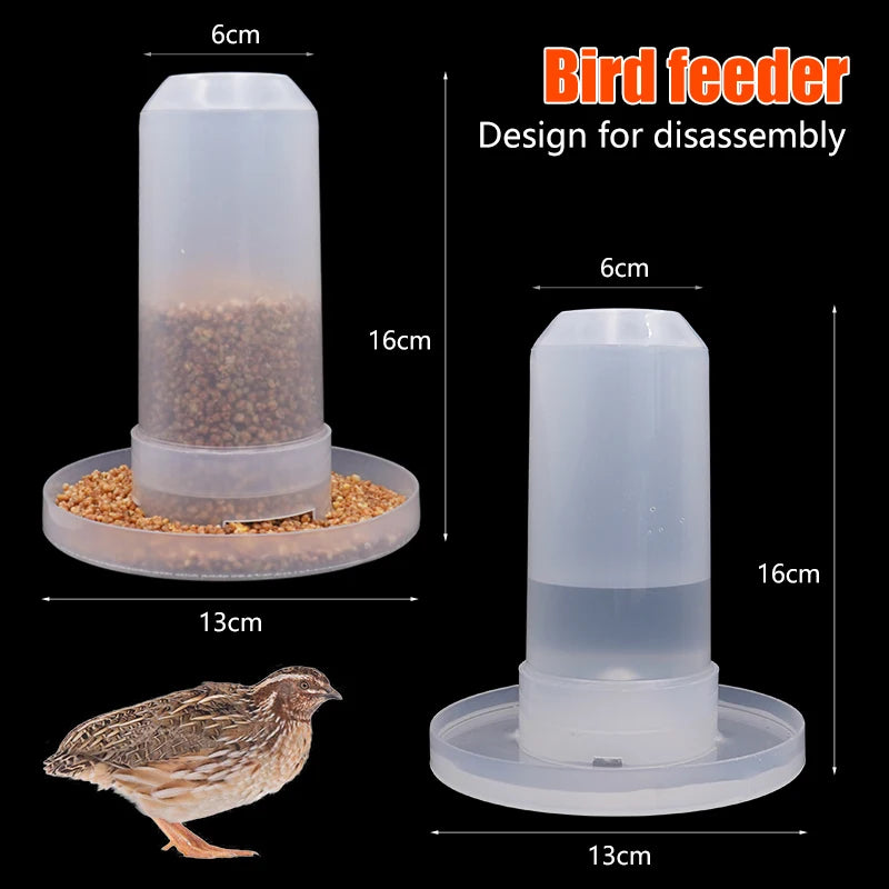 Bird Feedar Cup 