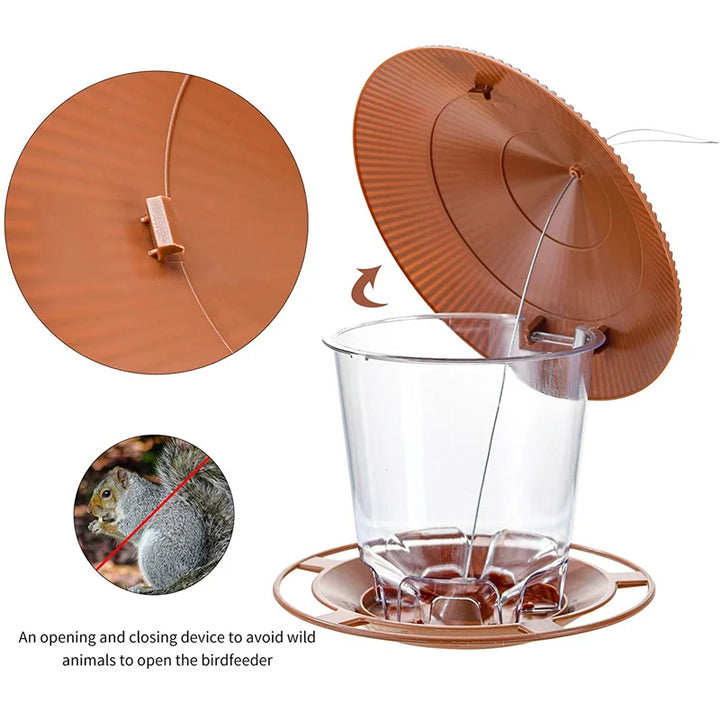 Bird Feeder Food Container