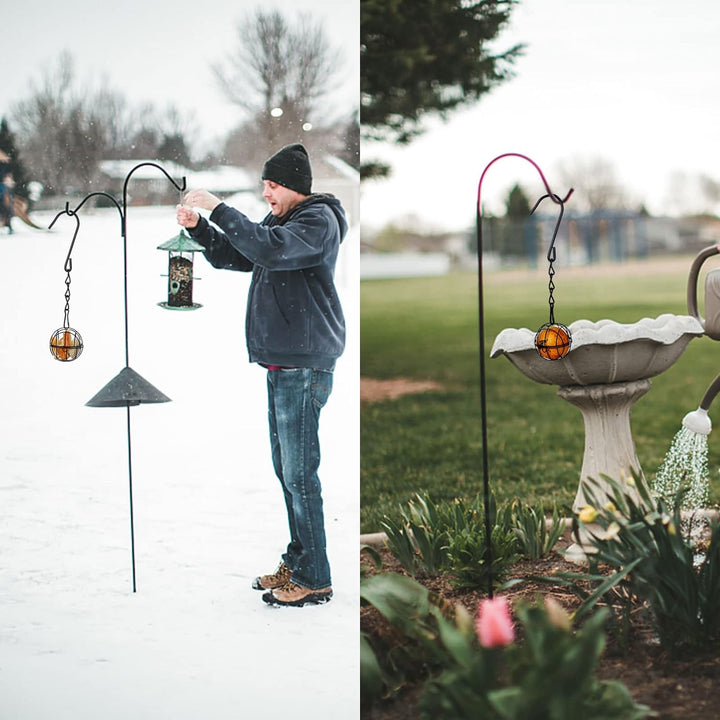 Bird Feeder Set with 4 Suet Balls