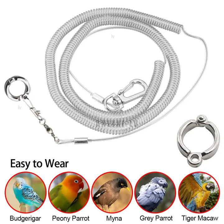 Bird Foot Chain Accessory