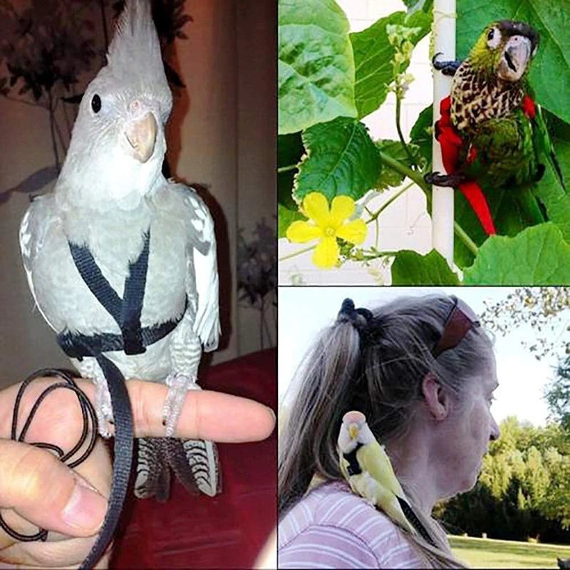 Bird Training Leash with Flying Rope