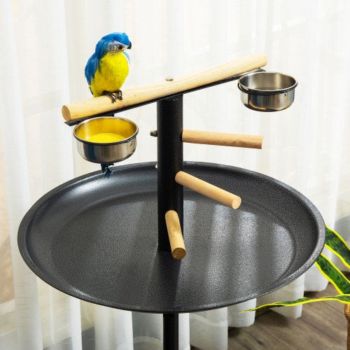 Bird play gym with feeder bowls