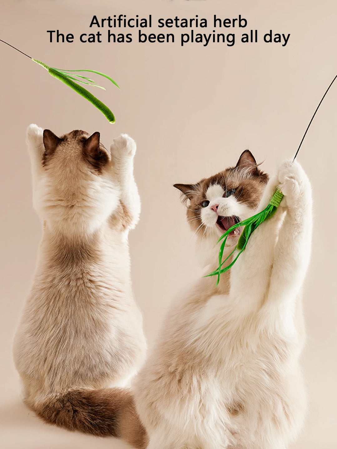 Bite-Resistant Cat Teasing Toy
