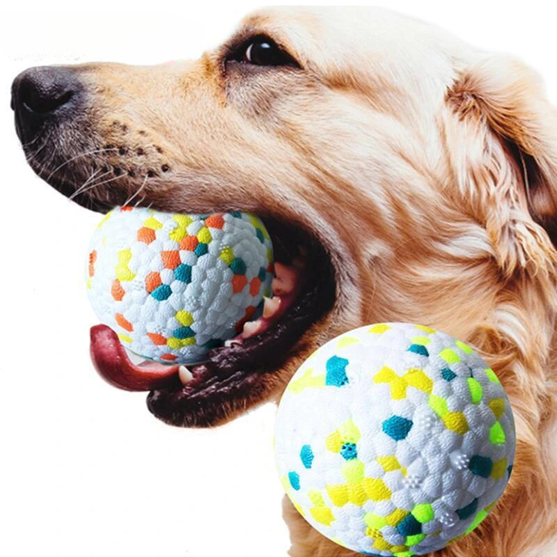 Bite Resistant Dog Ball Toy