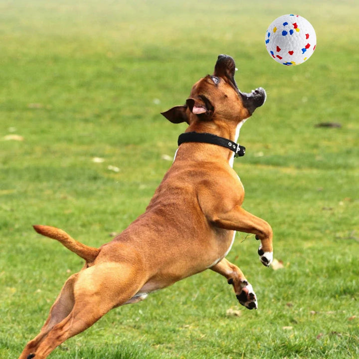 Bite Resistant Pet Toy Ball