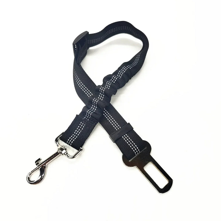 Black Belt For Dogs And Cats