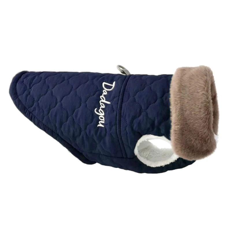 Blue Color Fur Collar Dog Jacket for Puppies