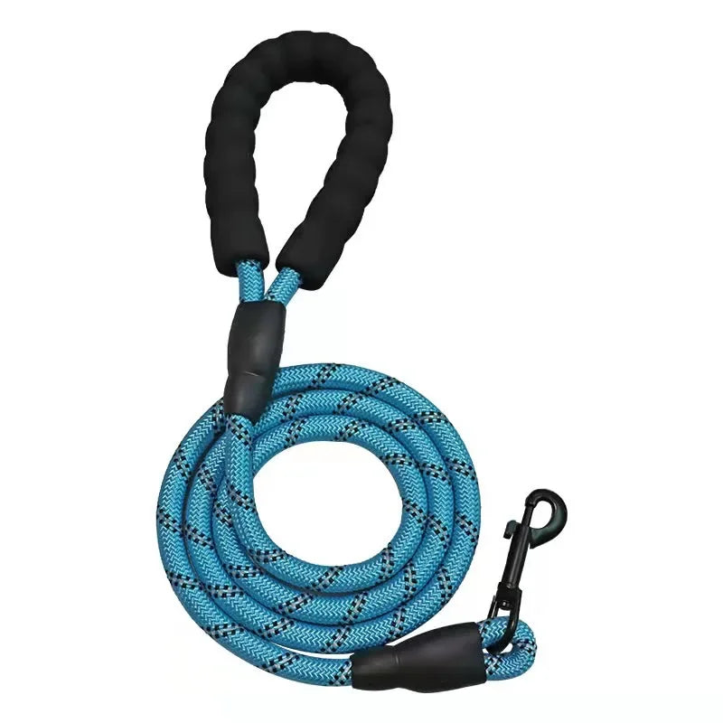 Blue Dog Leash