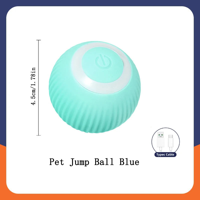 Blue Jump Ball for dogs 