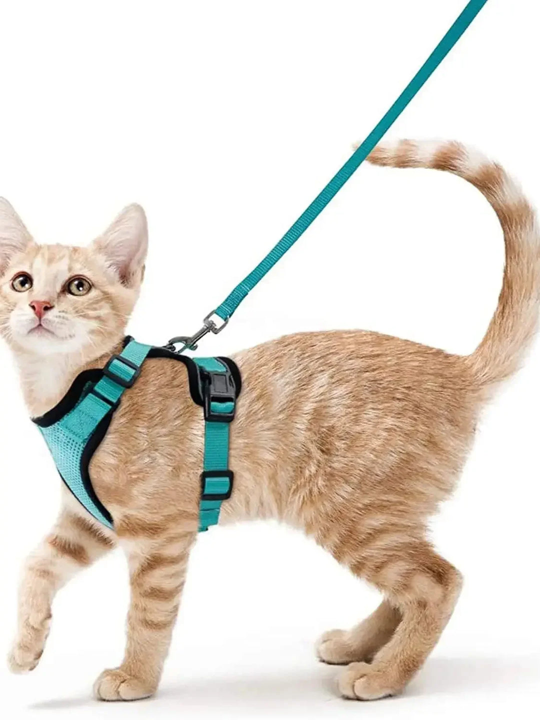 Breathable Cat Harness Vest